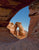 delicate-arch