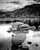 lake-tahoe-sailor